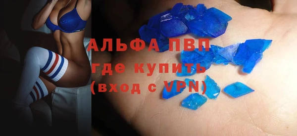 ECSTASY Пересвет