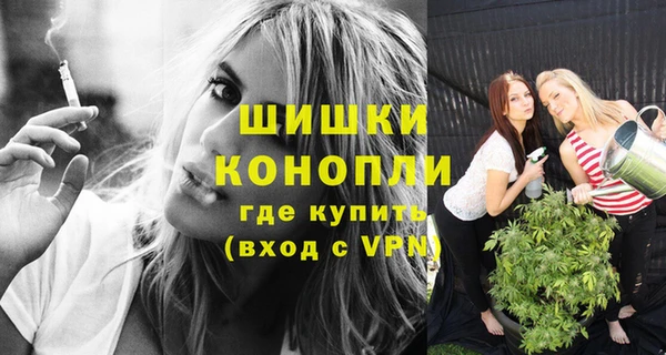 ECSTASY Пересвет